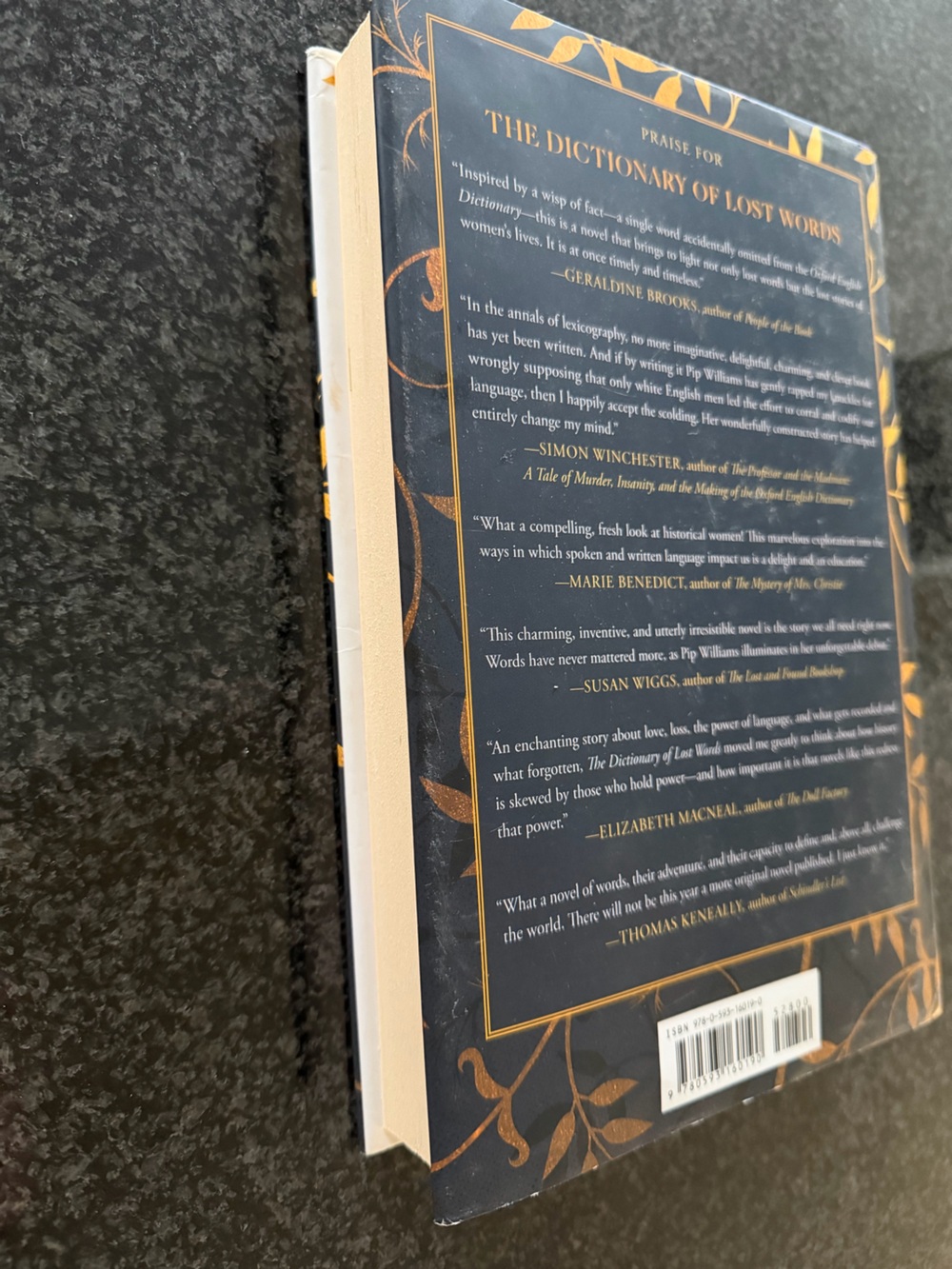Dictionary of Lost Words - Pip Williams - hardback book ๐ - Picture 3 of 7